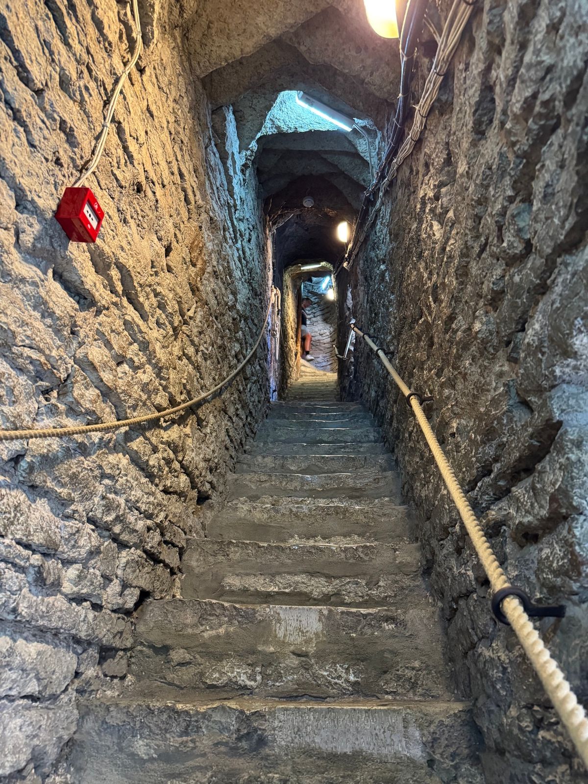 エストニア　タリン
●遠くからみたオレフ大聖堂
●オレフ大聖堂の塔
●オレ...