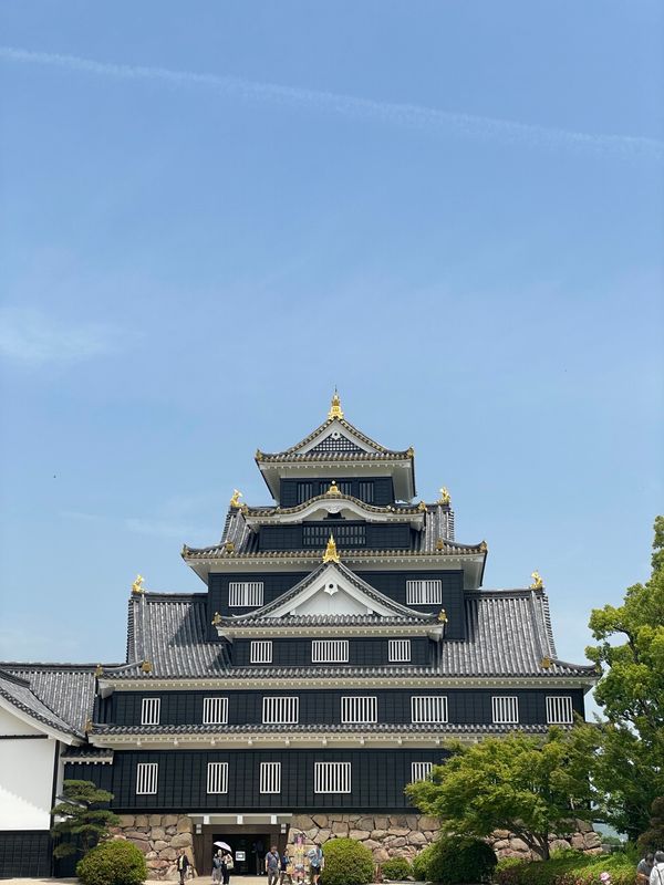 日本・岡山県「Okayama」の写真：岡山城
