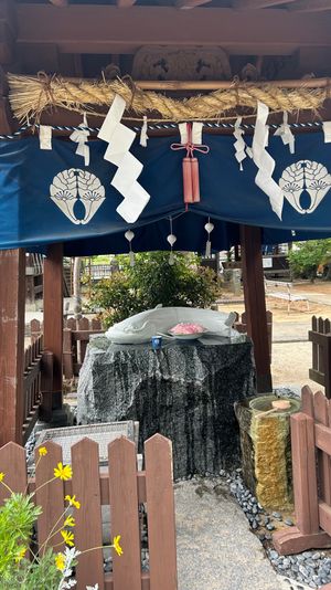 豊玉姫神社⛩
お肌がこれからも綺麗でいられますようにって、なまず様にお願い...