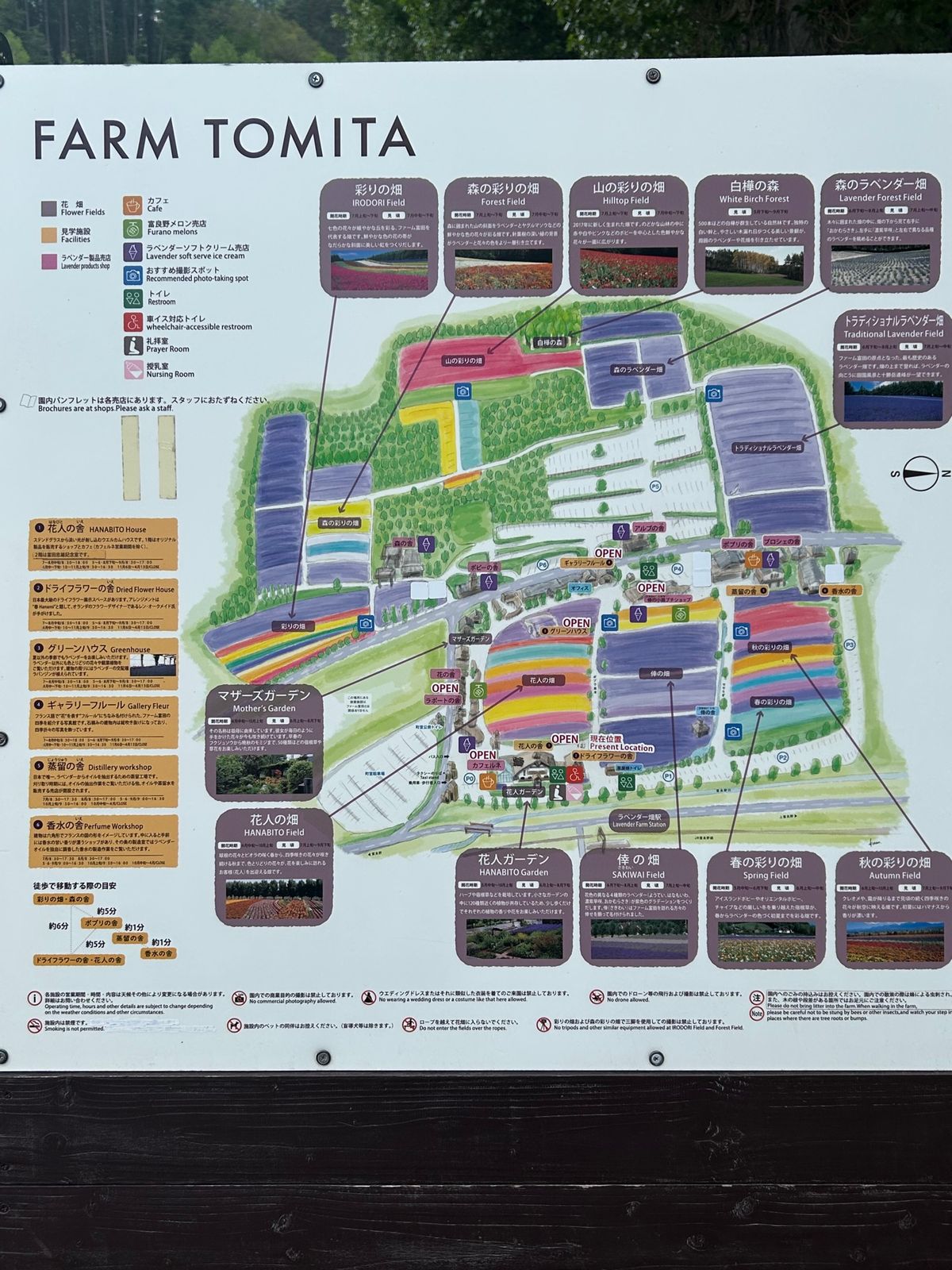 富良野で外せない場所、ファーム富田さんへ。
まだラベンダーの季節には早いけ...