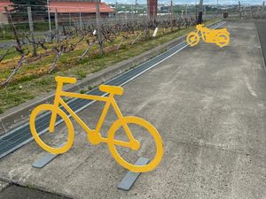 北海道に来たら外せない六花亭。
ここにしかないふらの餅が食べたかったけど、...