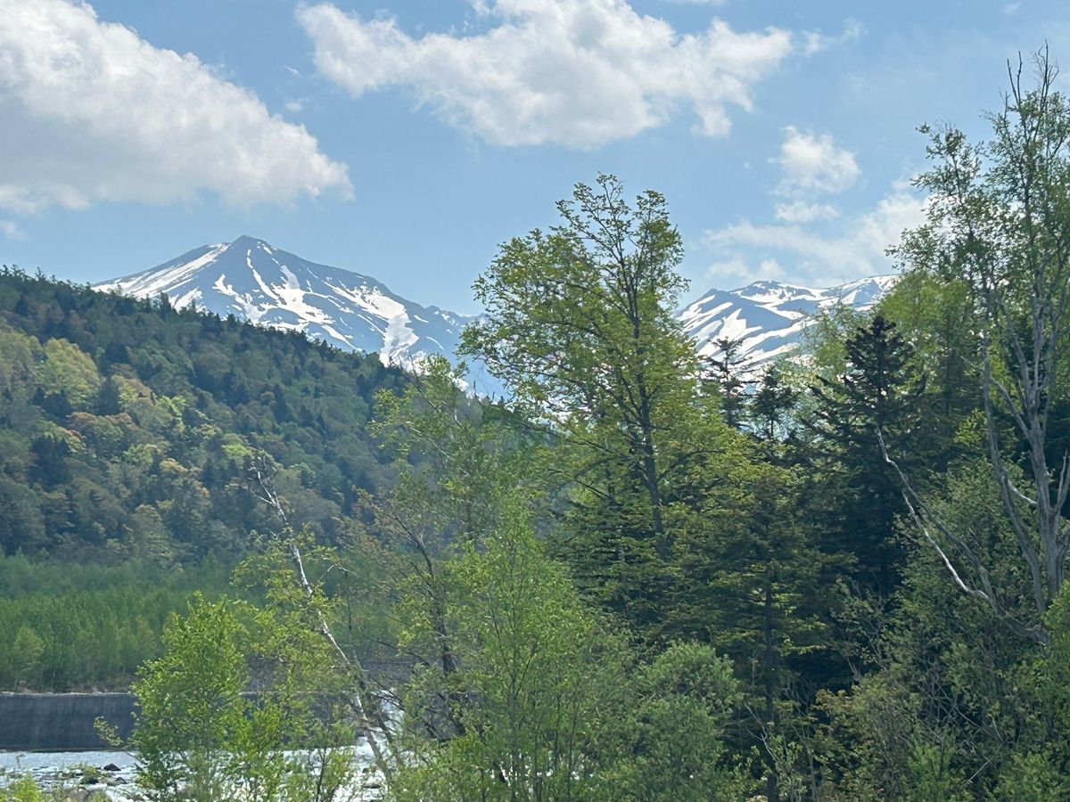 ２日目は美瑛の白金青い池へ。
雨の後だからか、そこまで青くは無かったけど綺...