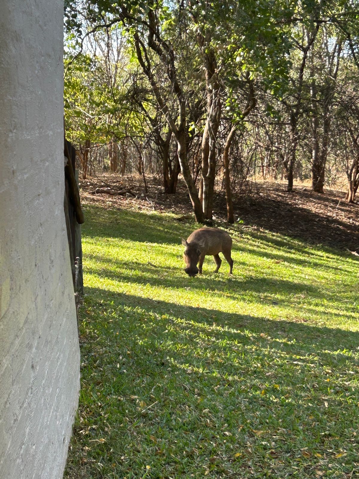 ホテルは”Lukuthura lodges “というロッジタイプの部屋に泊...