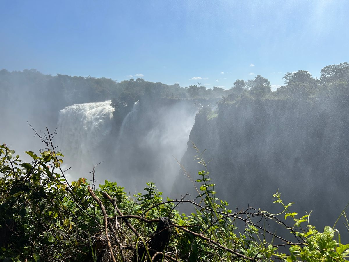 ヴィクトリアフォールズ　レインフォレスト
この時期は水量が多く、レインコー...
