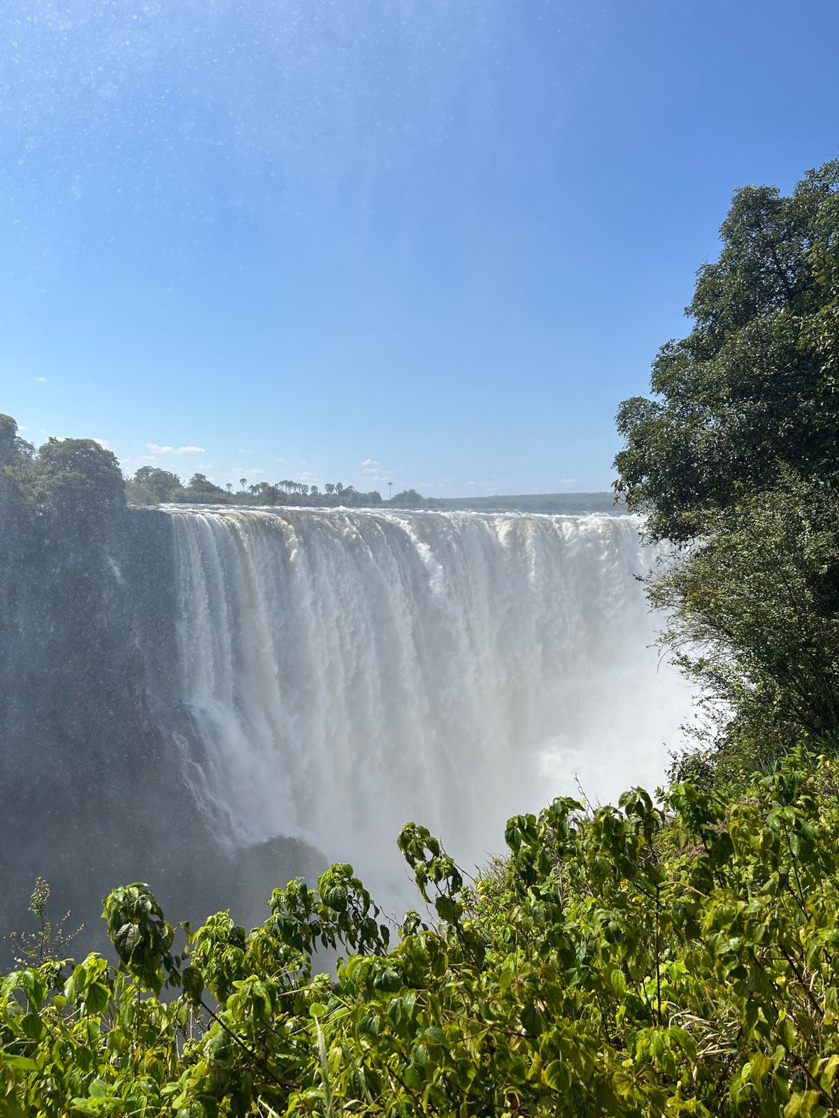 ヴィクトリアフォールズ　レインフォレスト
この時期は水量が多く、レインコー...