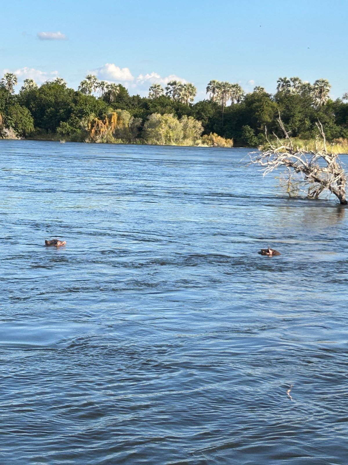 ザンベジ川　サンセットクルーズ
快適な船でドリンクや軽食も付いて夕陽までゆ...