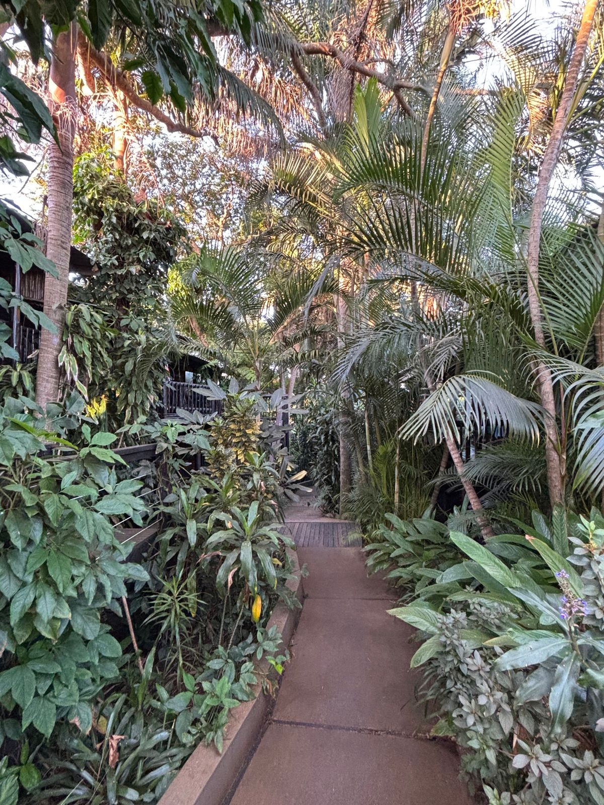 Umlilo Lodgeに宿泊しました。このロッジはテーマがジャングルって...