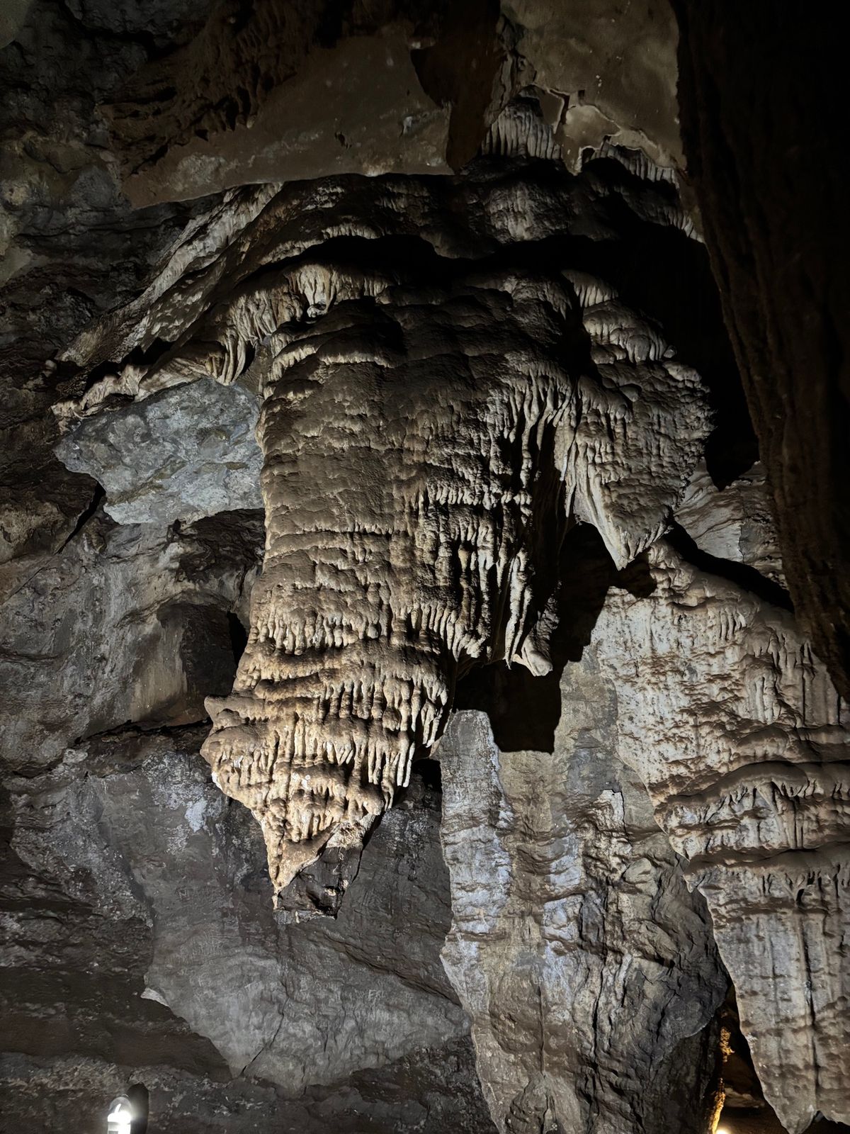 ステールクフォンテン・ケイブスへ行ってきました。300万年前のアウストラロ...