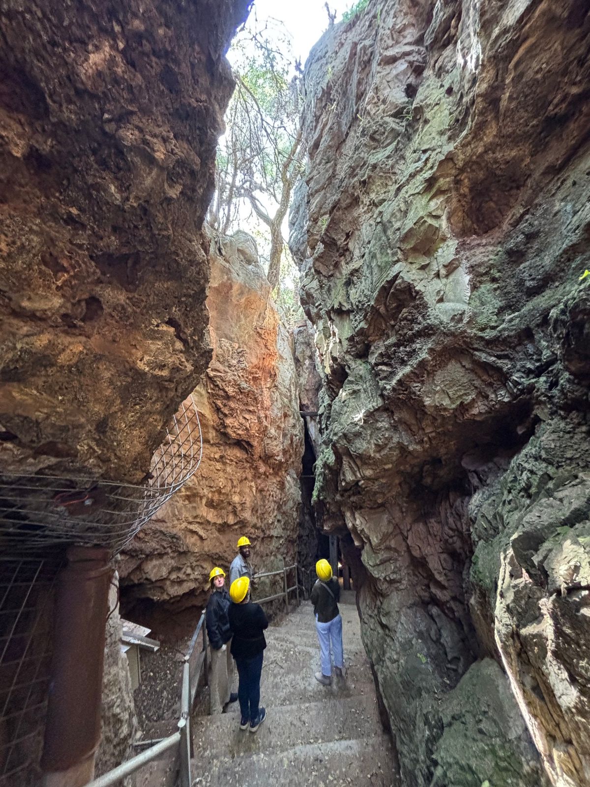 ステールクフォンテン・ケイブスへ行ってきました。300万年前のアウストラロ...