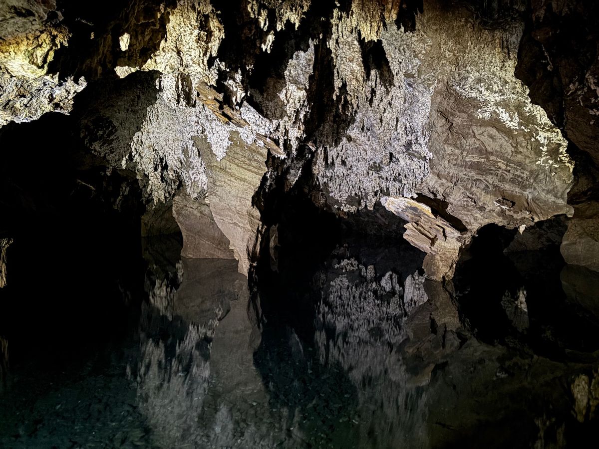 ステールクフォンテン・ケイブスへ行ってきました。300万年前のアウストラロ...