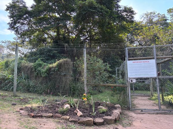 南アフリカ・バリトー「モンキーランド」の写真：バリトー近くのモンキーランドへ行ってきま...