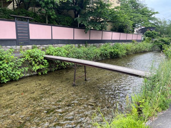 日本・京都府「京都旅行」の写真