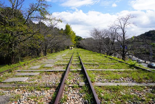 日本・京都府「京都旅行」の写真