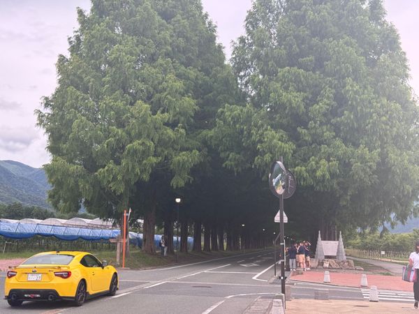 日本・滋賀県「滋賀旅行」の写真