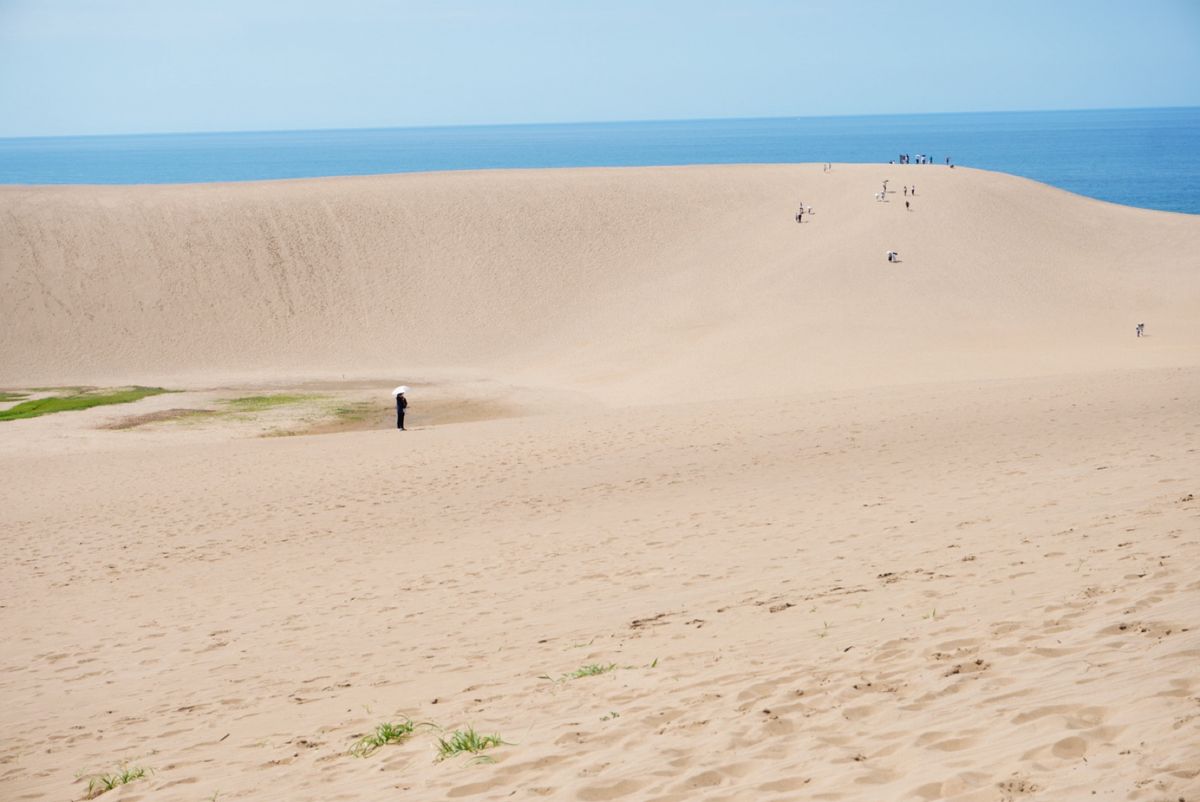 砂丘と牛骨ラーメン