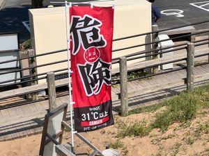 砂丘と牛骨ラーメン