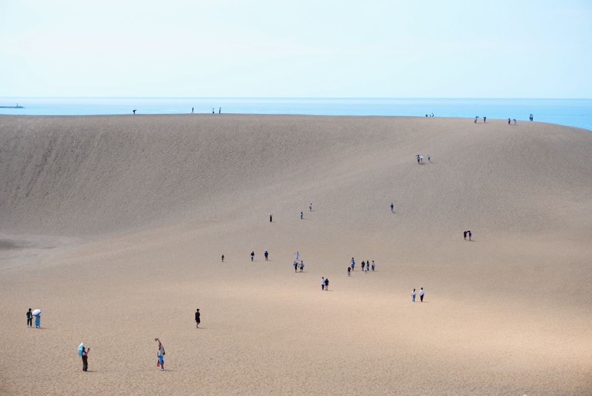 砂丘と牛骨ラーメン