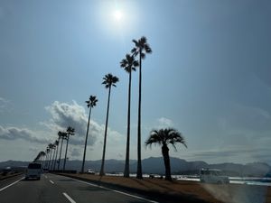 宮崎