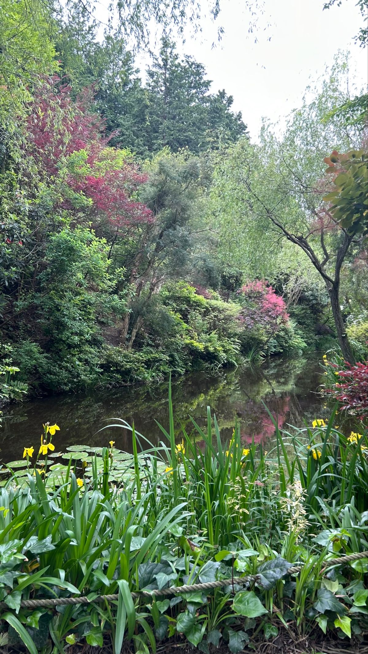 地中美術館
とにかく沢山人がいたけど、駐輪場から美術館までの道のりの景色が...