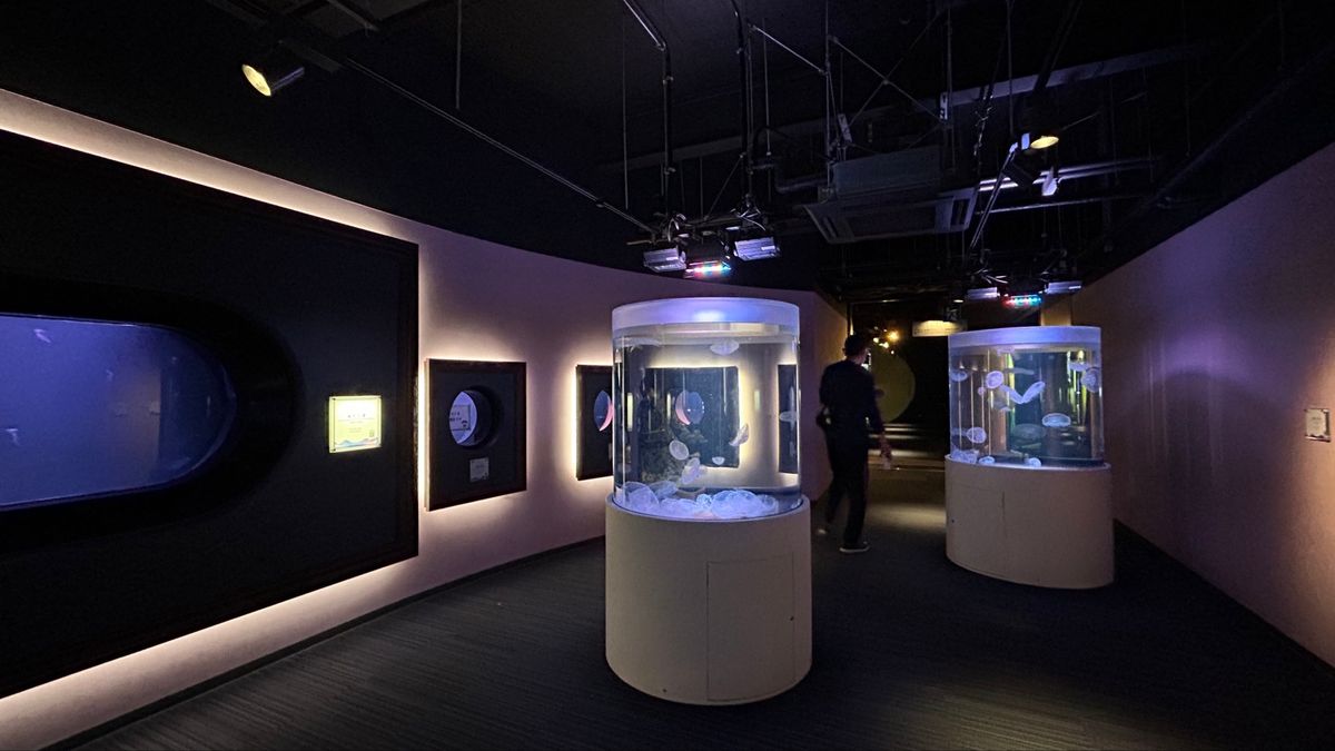 Part3🪼
やっぱり私はクラゲが好きなんです！！！