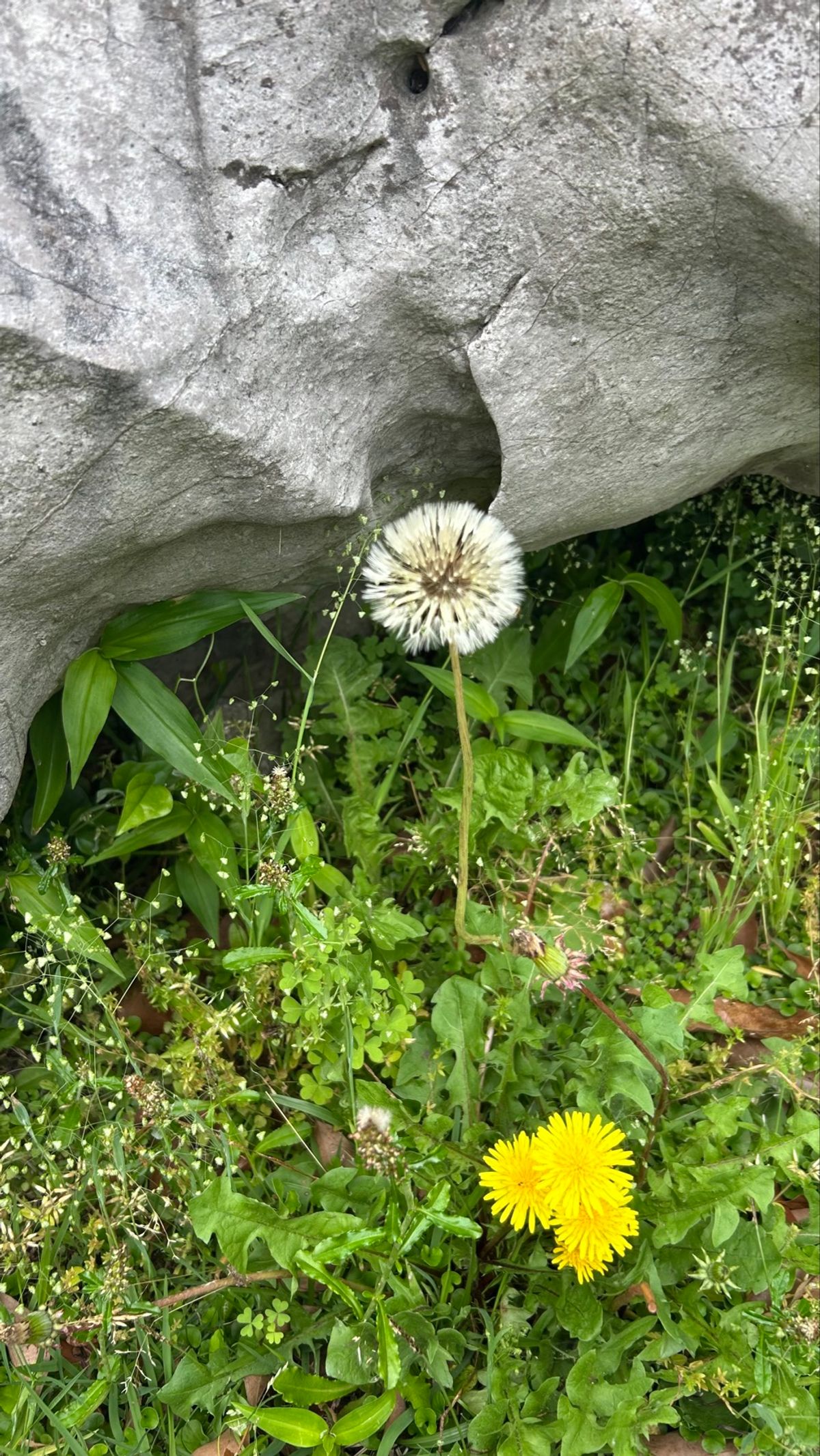 次の美術館に向かう途中で見つけた、謎の場所。
お風呂が中央にあってその周り...