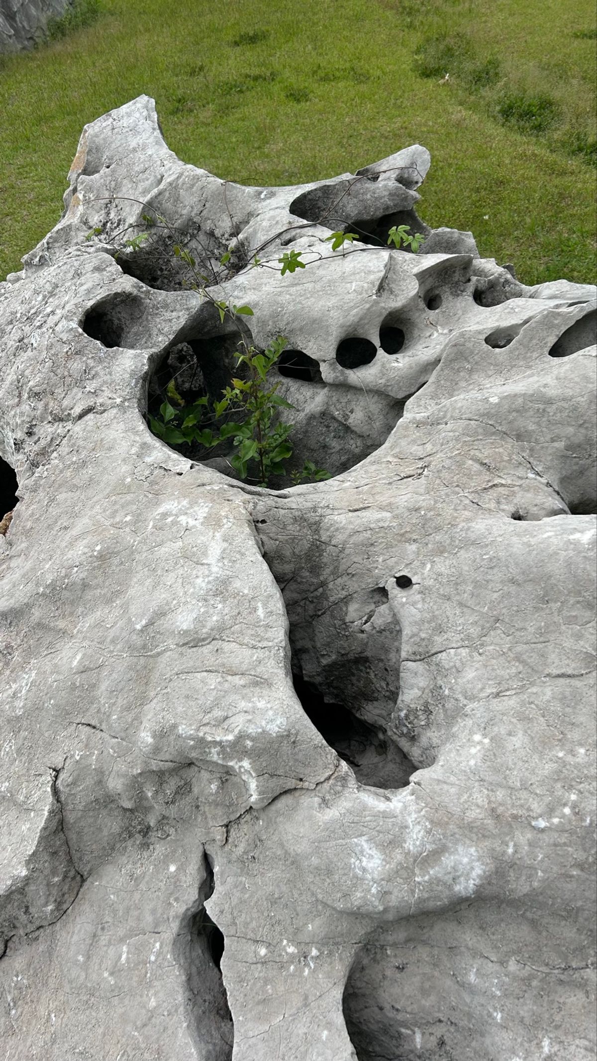 次の美術館に向かう途中で見つけた、謎の場所。
お風呂が中央にあってその周り...