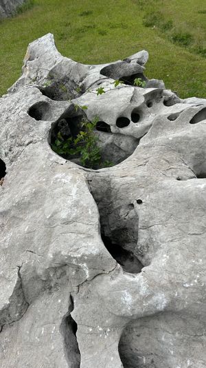 次の美術館に向かう途中で見つけた、謎の場所。
お風呂が中央にあってその周り...
