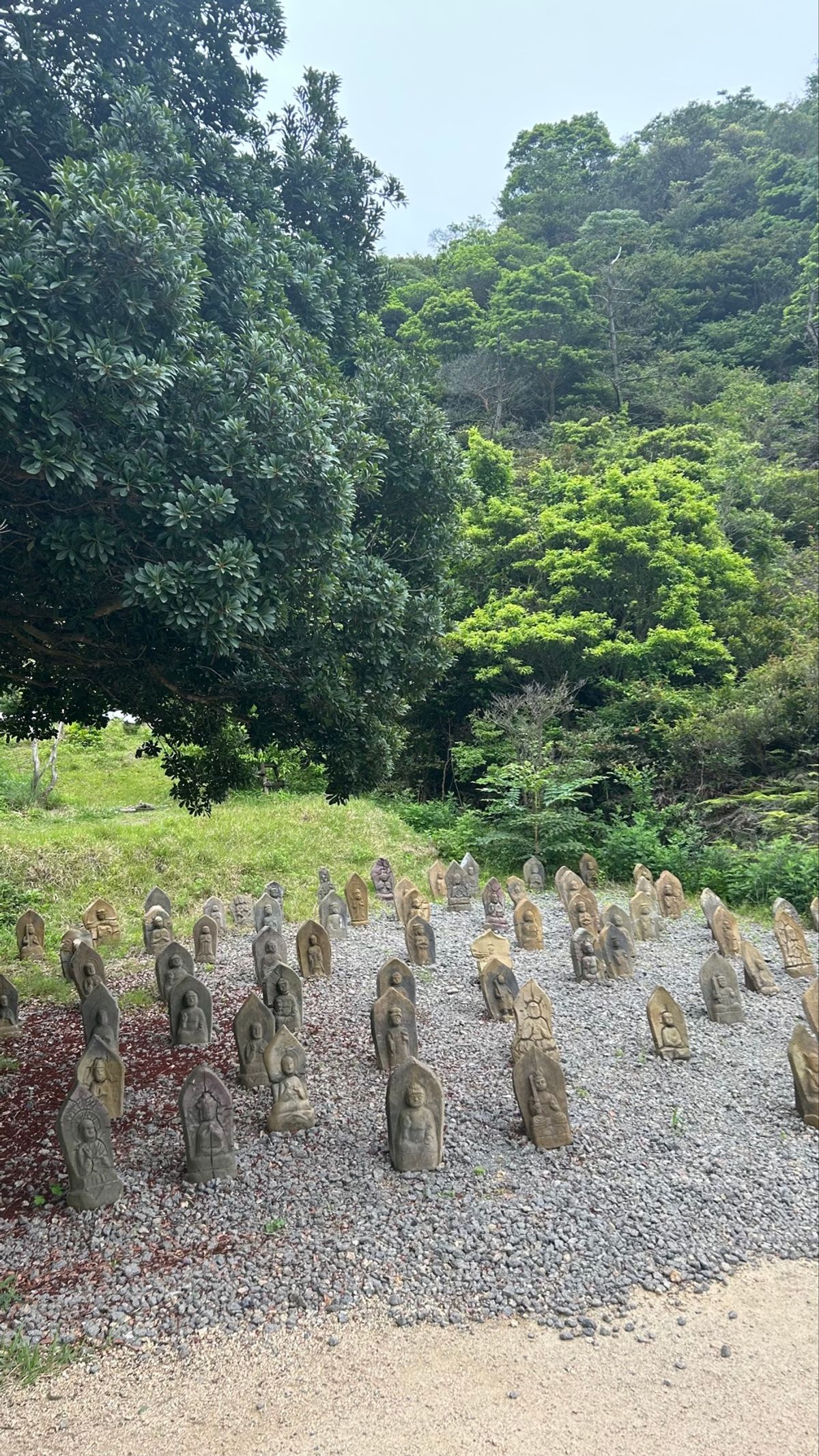 ヴァレーギャラリー
不思議な空間すぎて、1人で、 写真撮りまくったら色んな...