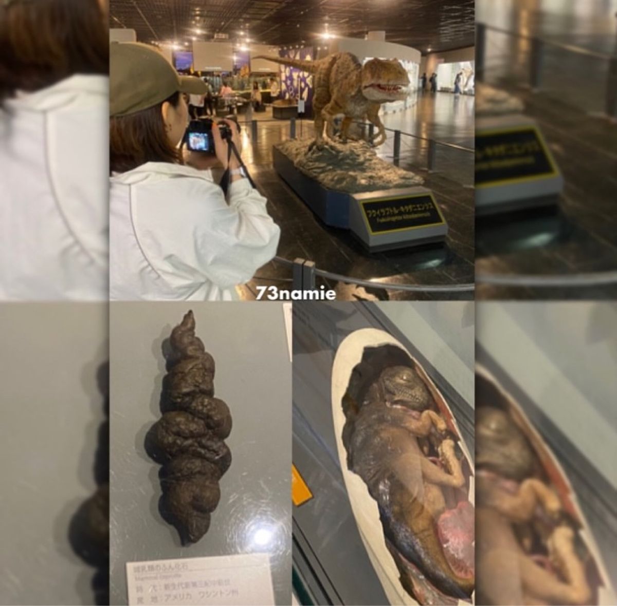 日本三大恐竜博物館の一つ
『福井県立恐竜博物館』へ行ってきました！

恐竜...