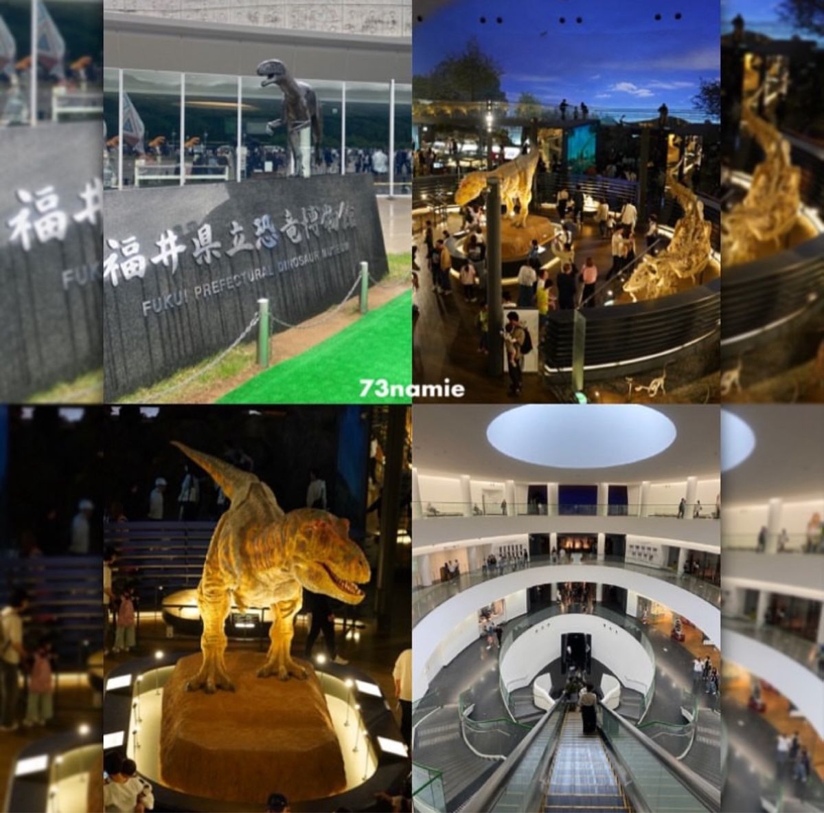 日本三大恐竜博物館の一つ
『福井県立恐竜博物館』へ行ってきました！

恐竜...