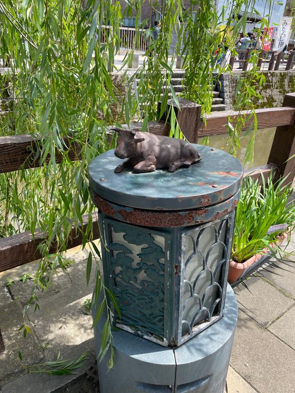 日本・千葉県「佐原観光」の写真