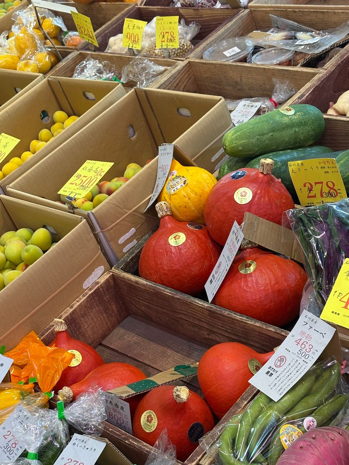 近江町市場
加賀野菜を色々みる