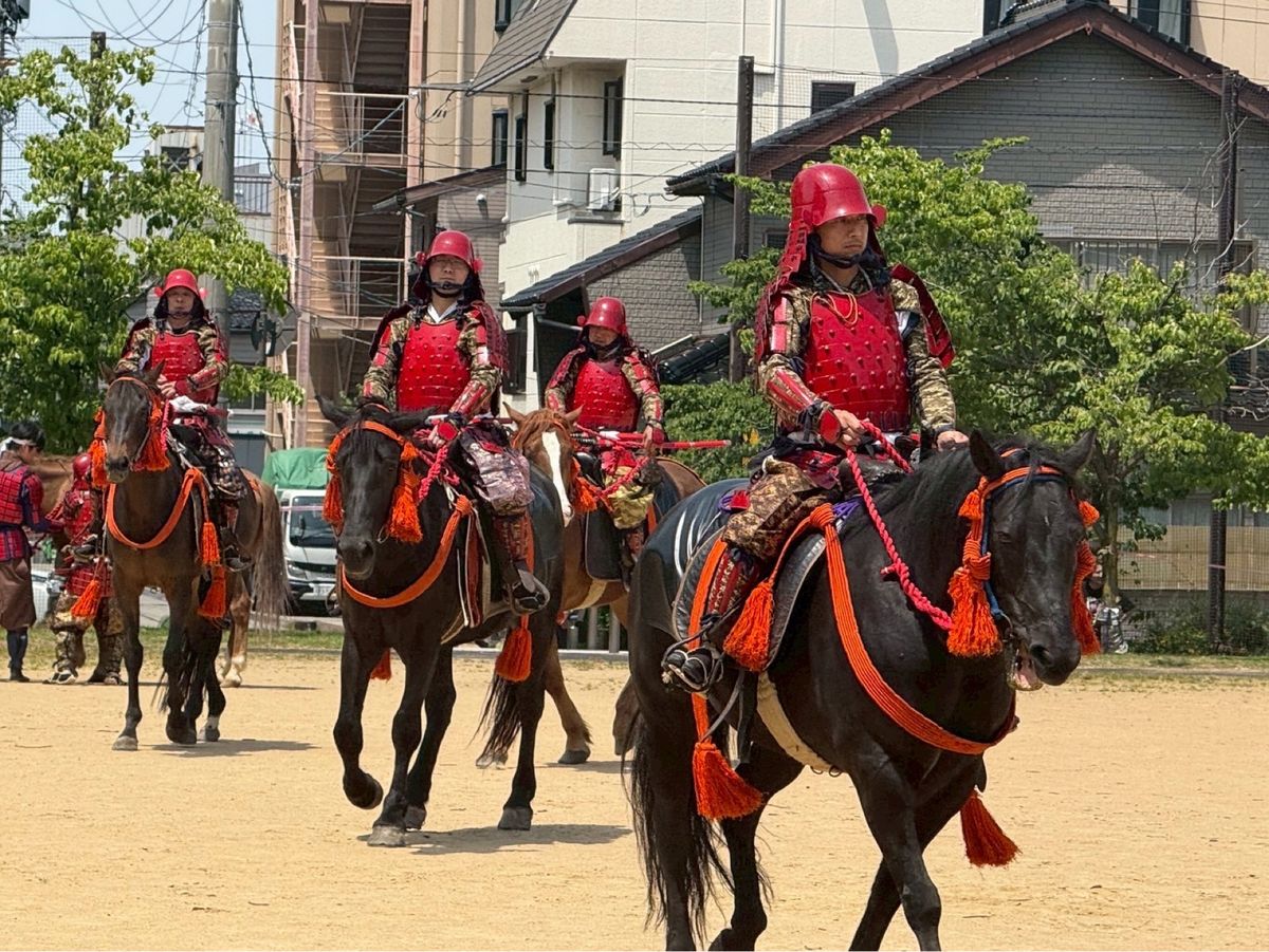 百万石まつりの行列
たまたま公園で間近で控えてる馬をみれた
北野きいさんと...