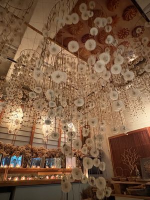 HIMITO素敵な空間
バスに間に合わなくて図書館から歩いたけど川沿いのお...
