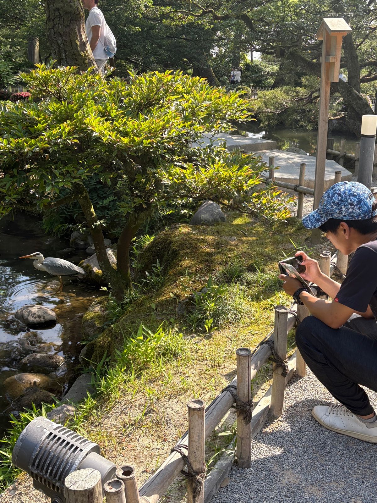 まつりの影響か兼六園無料開放してる日だった
暑かったけどゆっくりできてよき...