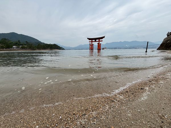 日本・広島県「広島」の写真：宮島で牡蠣&amp;穴子
マツダスタジアムで交流...