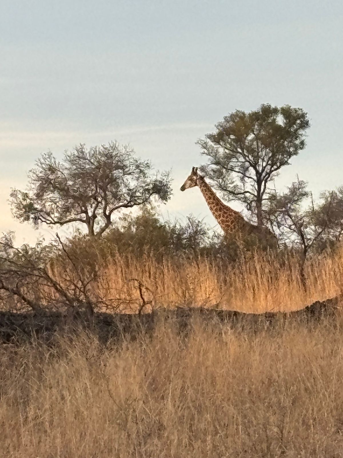 最終日
まだ見ていないサイを見ようと頑張りましたが見れませんでした。
本日...