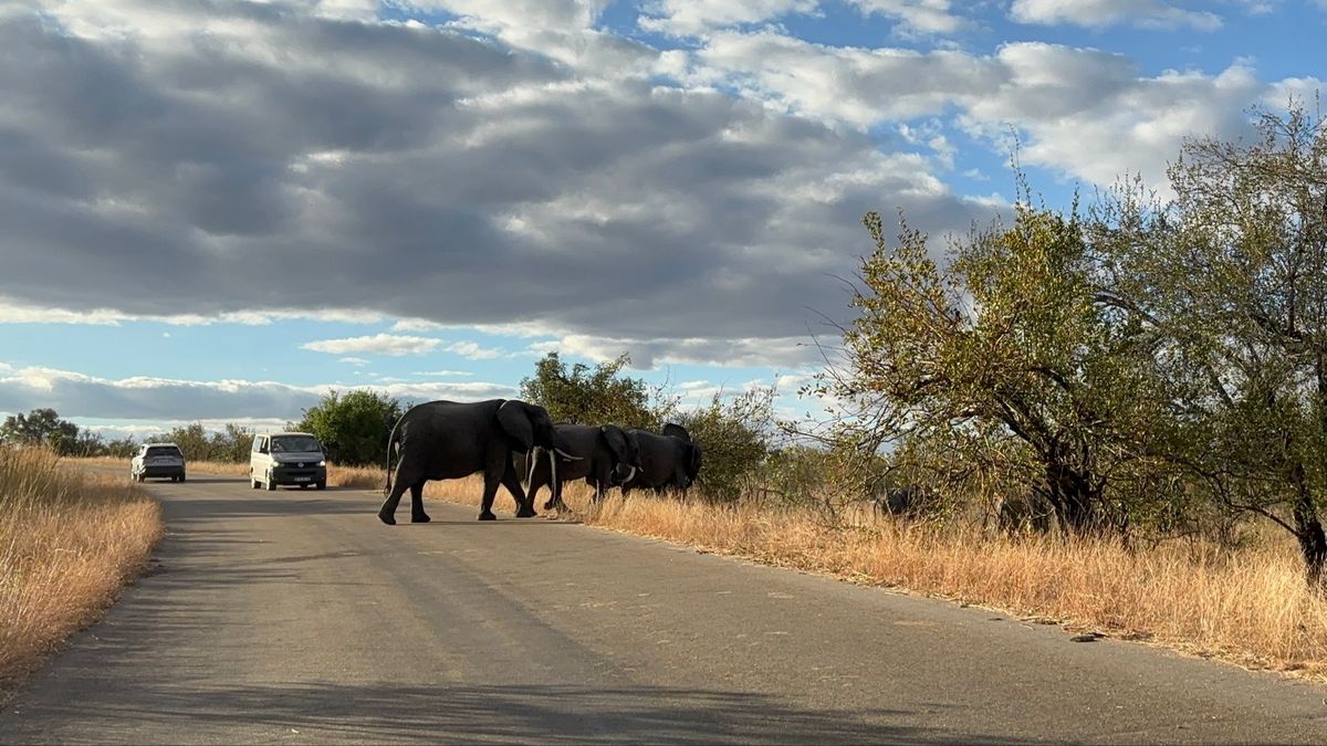 初日
MalelaneゲートからPaul Krugerゲートへ約半日のゲー...