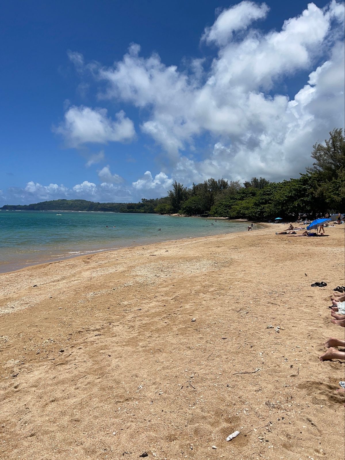 今年はアニニビーチに行ってみた