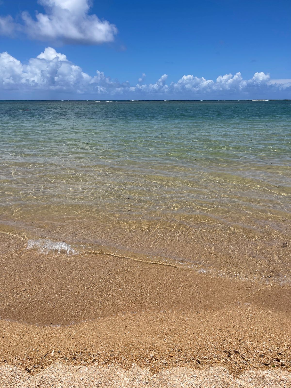今年はアニニビーチに行ってみた