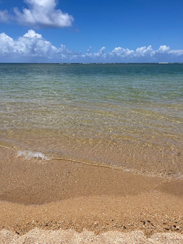 アメリカ(米国)・プリンスビル「ハワイ旅行　カウアイ島」の写真：今年はアニニビーチに行ってみた