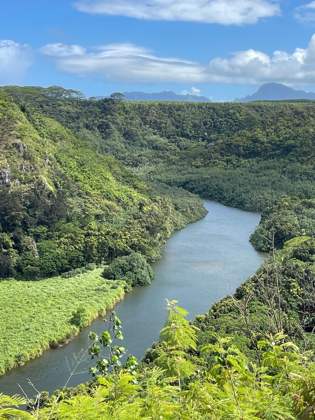 リフエから近い展望スポット
