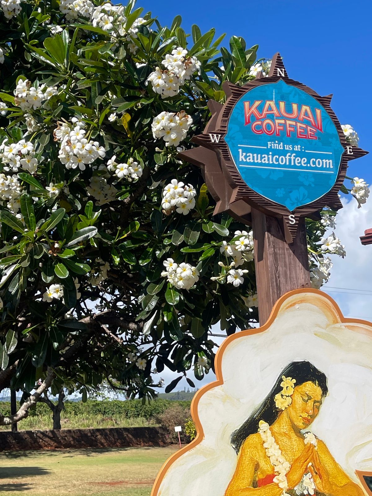 先ずはカウアイコーヒーカンパニーへ