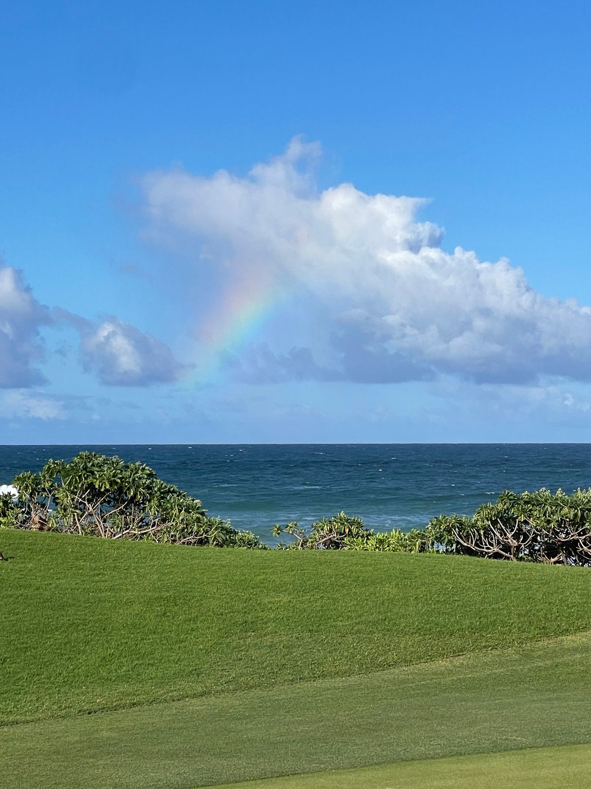 パブリックのワイルアゴルフコースは安くて楽しい😃
