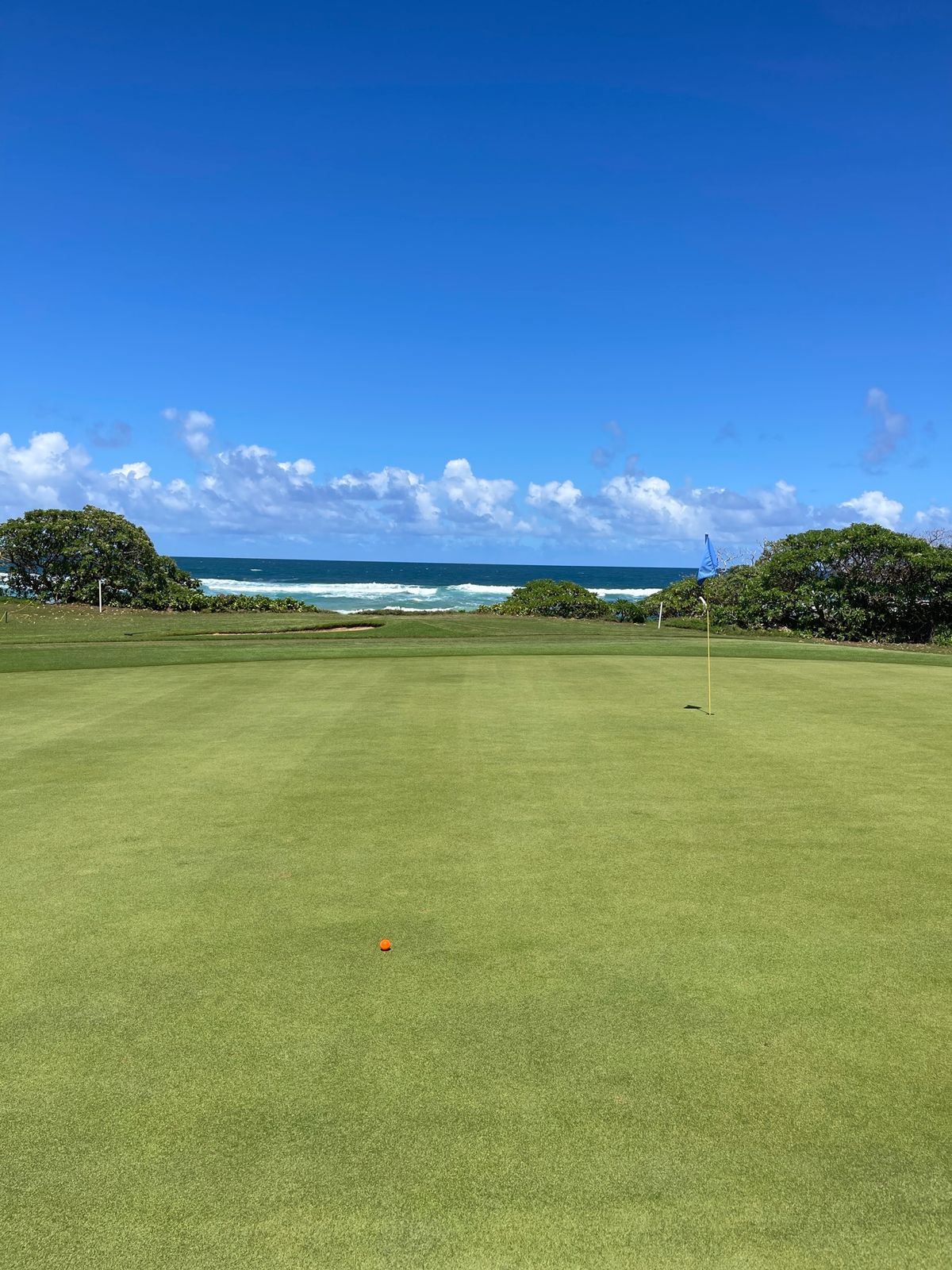 パブリックのワイルアゴルフコースは安くて楽しい😃