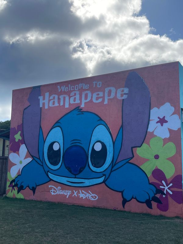 アメリカ(米国)・プリンスビル「ハワイ旅行　カウアイ島」の写真：ハナペペに来てみた😃