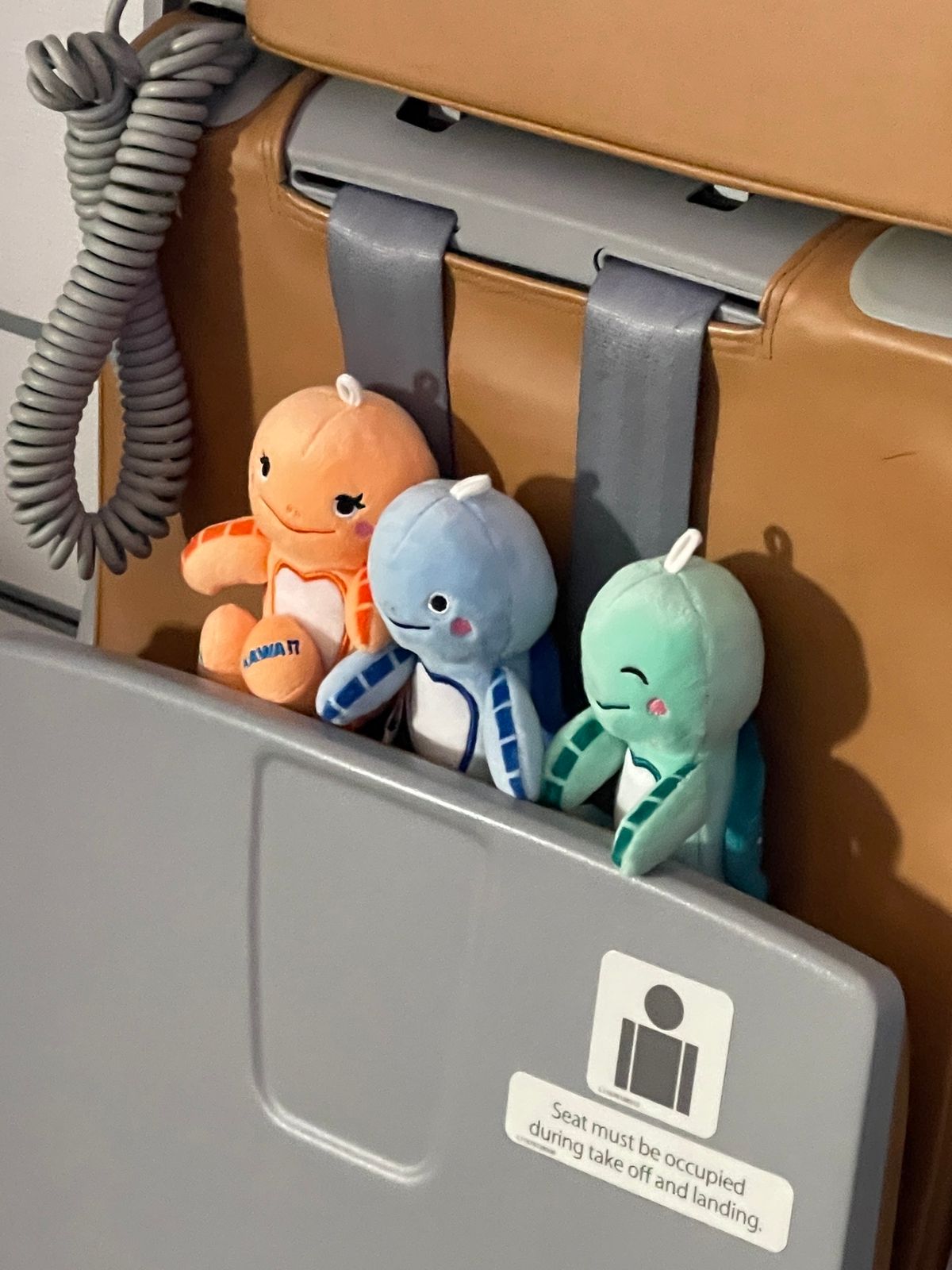 ダニエルK国際空港からリフエへ