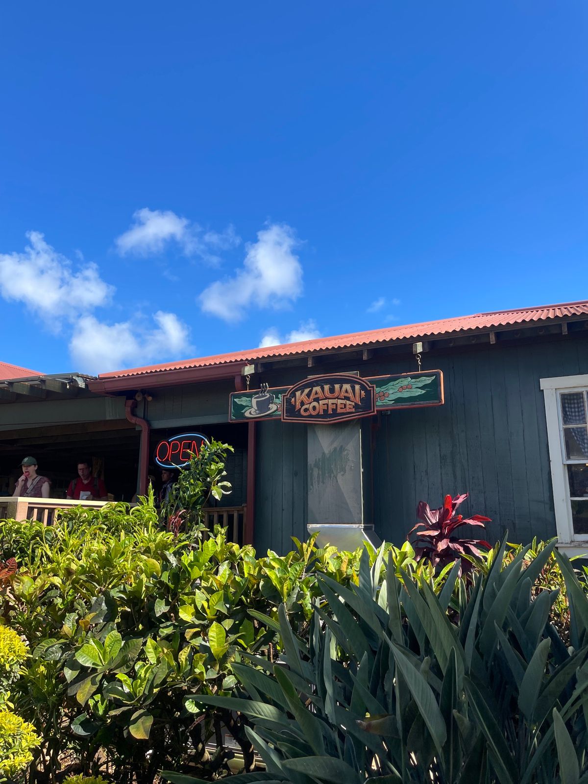 先ずはカウアイコーヒーカンパニーへ