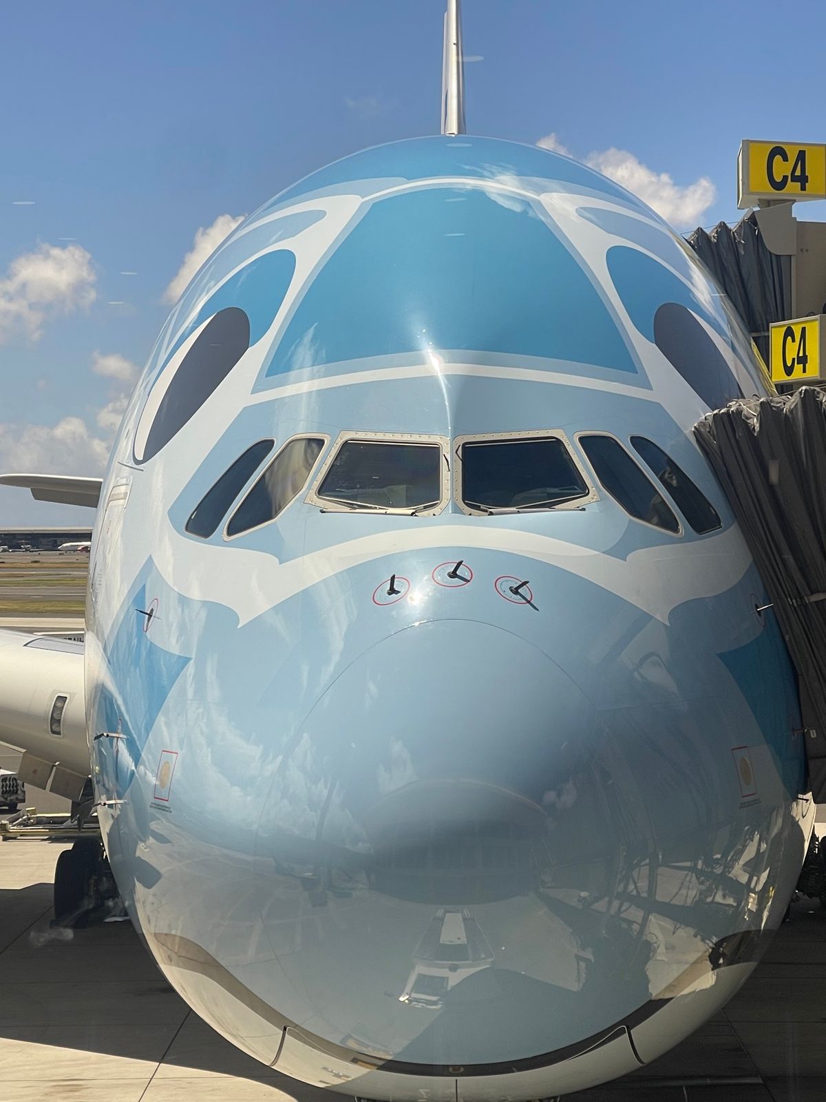 ハワイの締めはロングボードとアサイーボウルにハワイアンカレー😋
また来年‼️