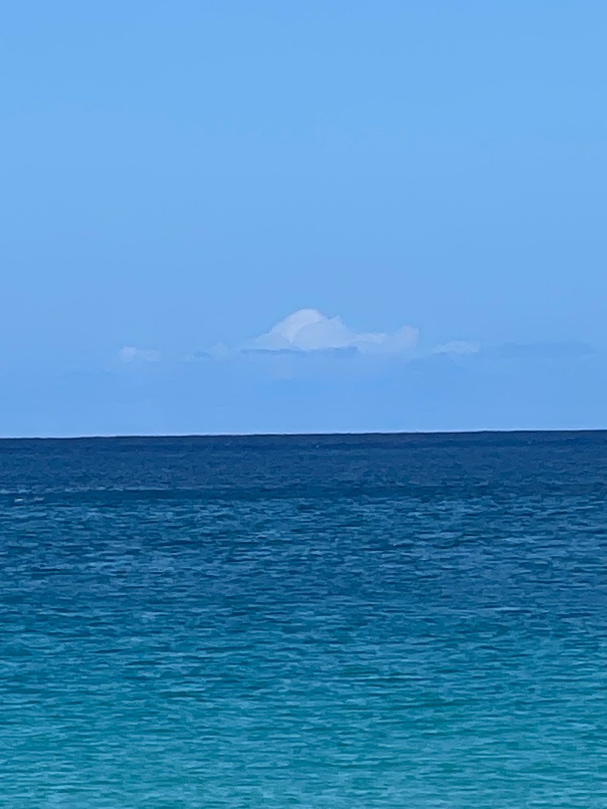 今年もワイメアビーチに来た🏖️
ワイキキとは比べ物にならないキレイな海と砂😍